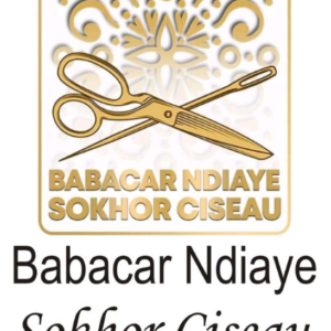 LOGO BABACAR NDIAYE